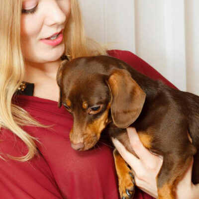 5 dog breeds perfect for first-time pet parents