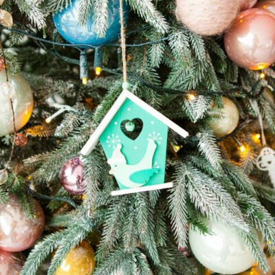 5 tips to follow while buying a Christmas tree