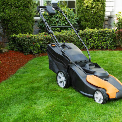 Everything you need to know about lawn care services