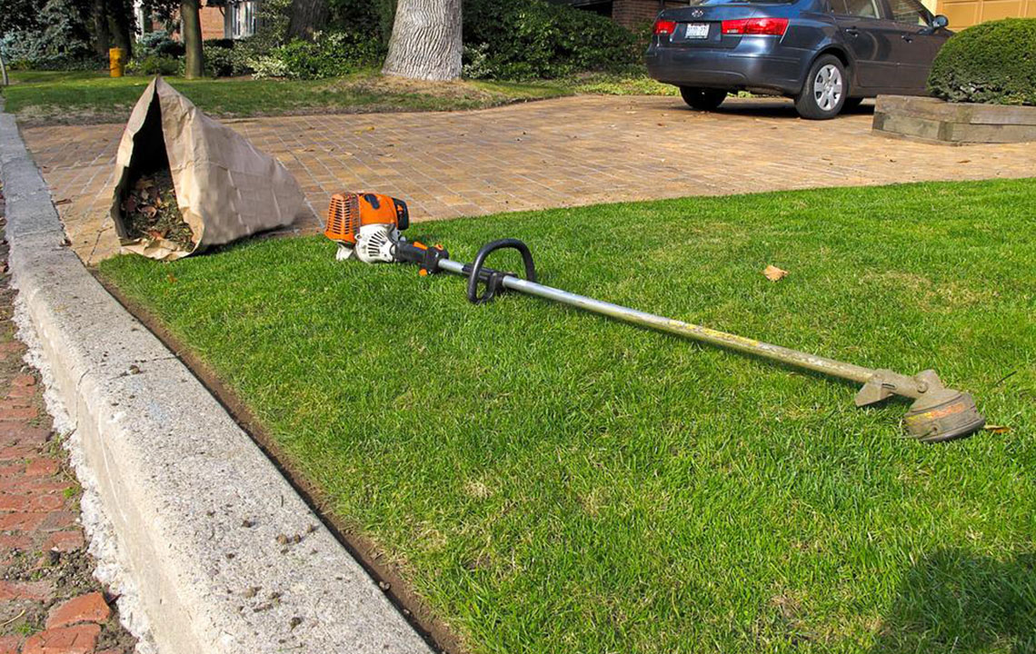 Factors to consider before buying a weed trimmer