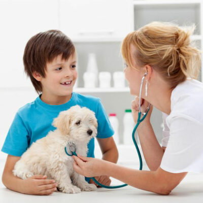 Factors that can affect the cost of pet care