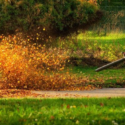 Guide to Choosing the Right Gas Leaf Blower