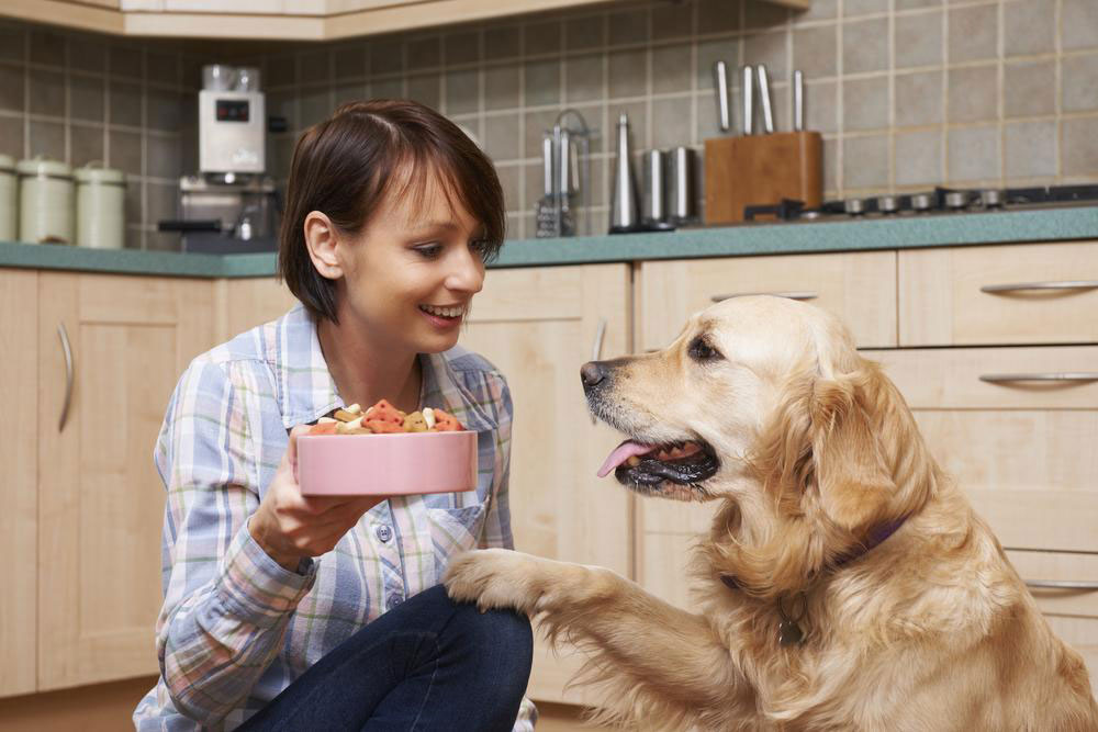 Keep your senior dog healthy with these fortified senior dog foods