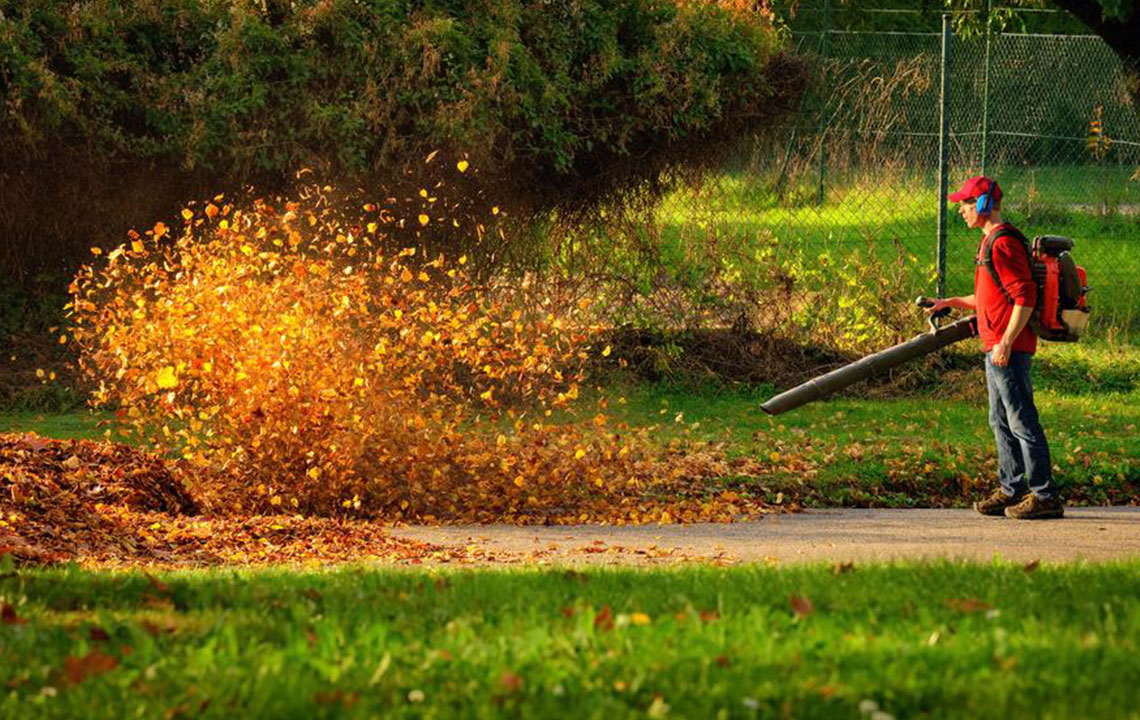 Popular affordable leaf blowers under $100