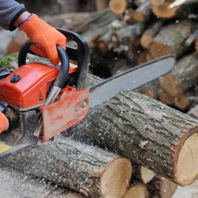 Top Brands to Buy a Chainsaw From