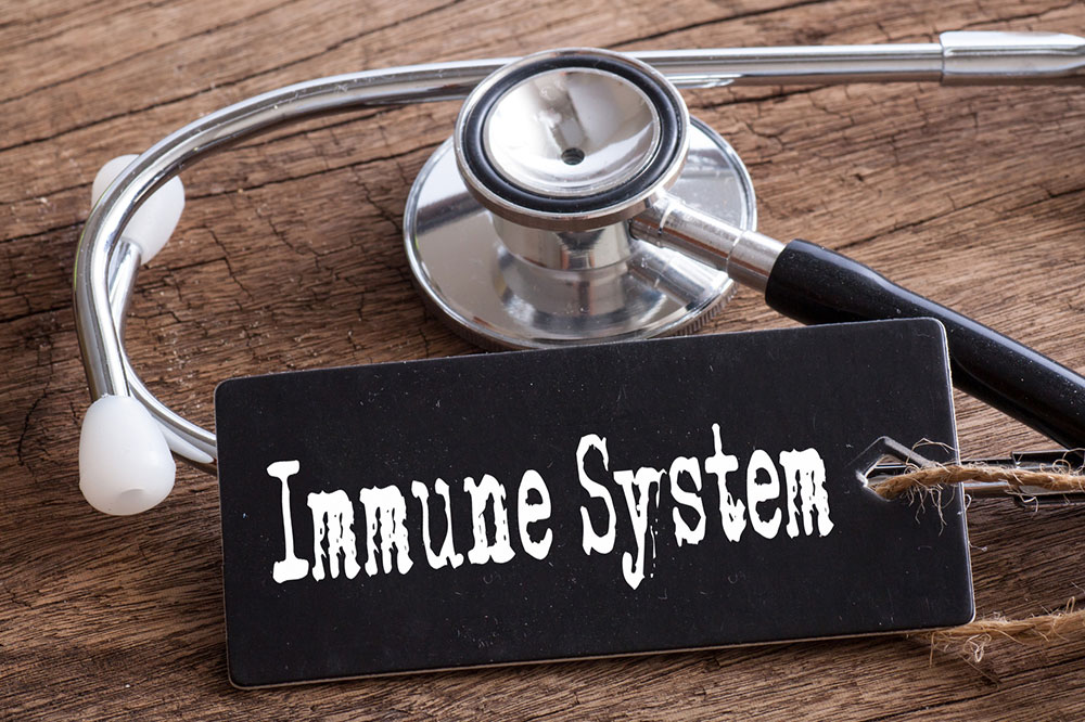 All you need to know about the human immune system