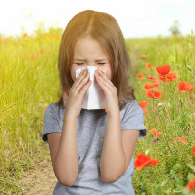 Best Seasonal Allergy Medicines to Keep Allergies at Bay