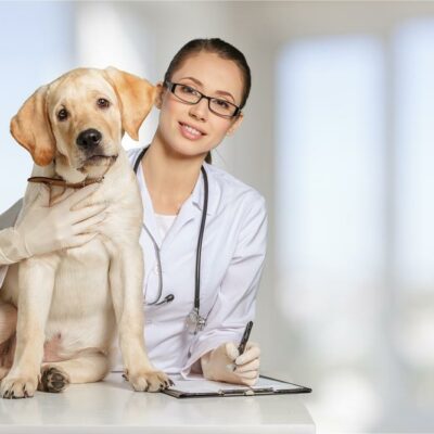 Essential medicine for pet allergies