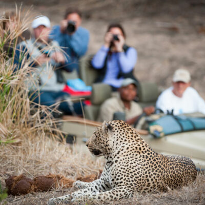 Factors to consider while choosing the best travel agency for an African safari