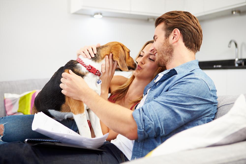 Five Reasons To Buy Pet Insurance