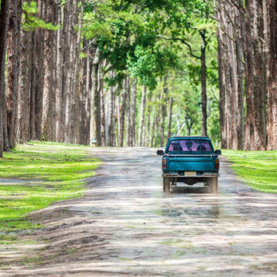 Here&#8217;s how useful pickup trucks are