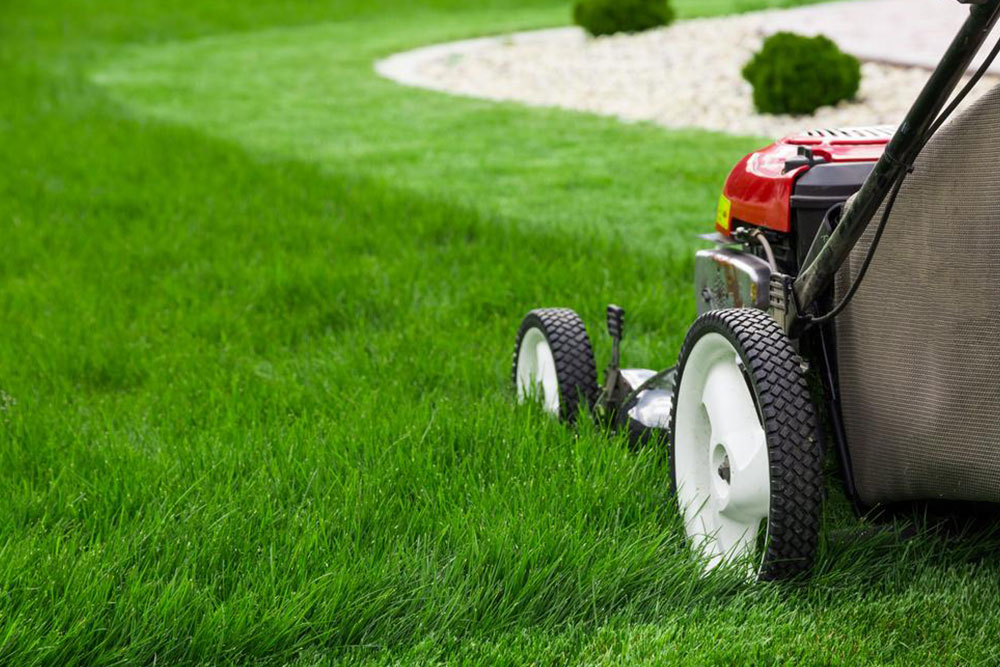 Here’s how you can choose the best lawn edger