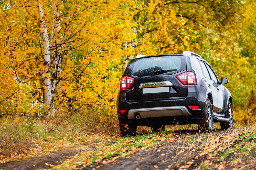 Reasons to check out the 2020 Nissan Rogue