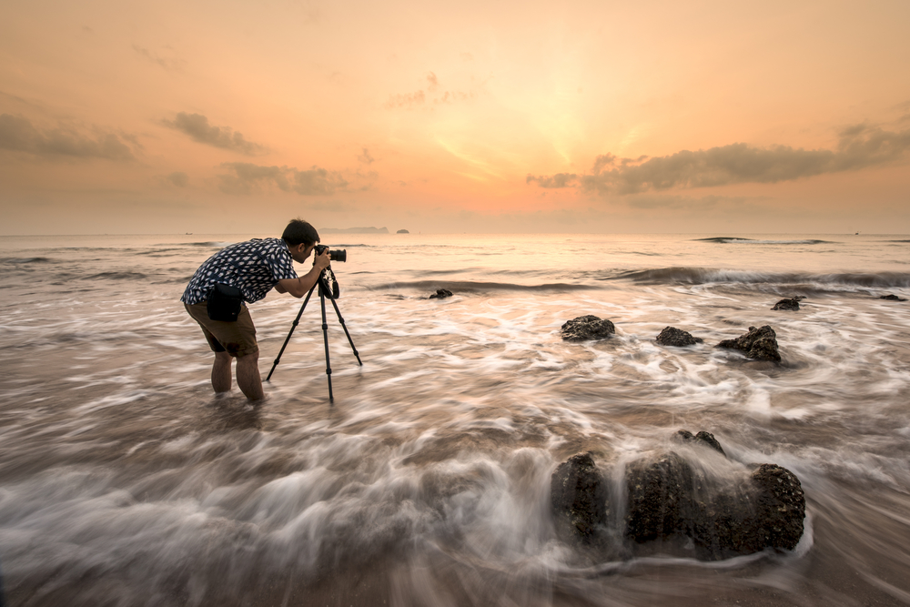 Roles Of A Digital Photography School