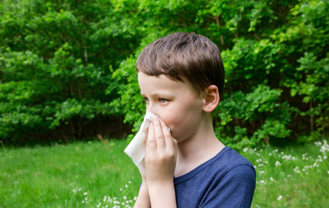 Simple Home Remedies for Pollen Allergy