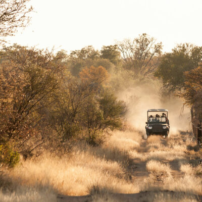 Tips for a Budgeted South Africa Safari Tour