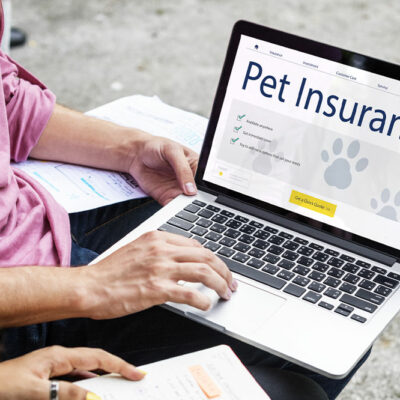 The Importance of a Pet Insurance