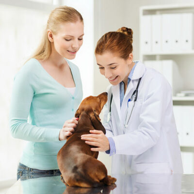 Benefits and Basics of Pet Care